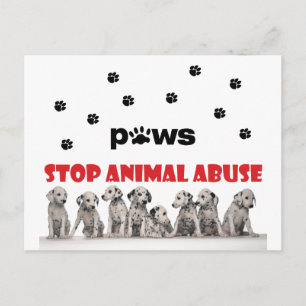 Carte Postale amoureux des animaux