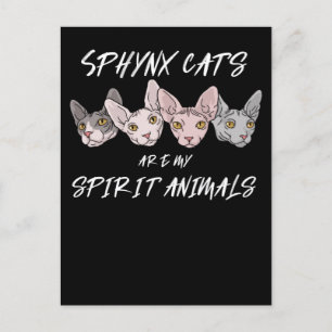 Carte Postale amoureux des chats Cadeau Esprit animal Sphynx Cha
