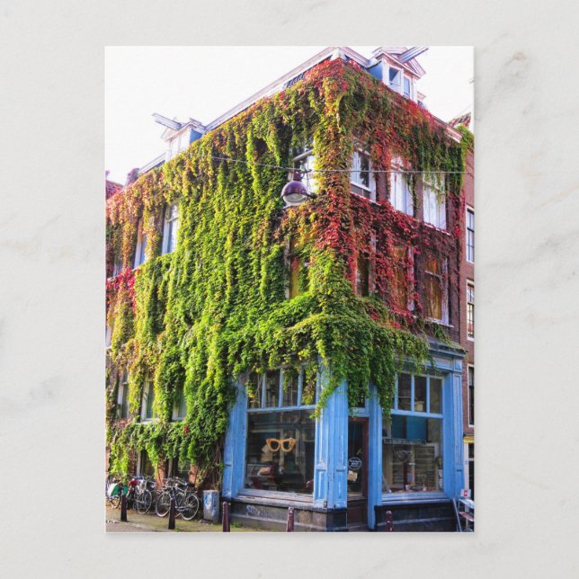 Carte Postale Amsterdam Autumn Vines Architecture (Devant)