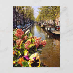 Carte Postale Amsterdam Canal Sunny Fall Day Bloemgracht