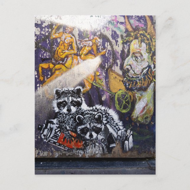 Carte Postale Amsterdam Graffiti Street Art Nr. 1 - Raccoon (Devant)