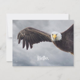 Carte Postale Amusant Aigle Bonjour Toute Occasion Vide