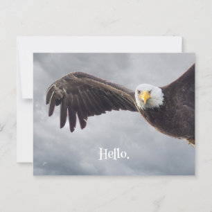 Carte Postale Amusant Aigle Bonjour Toute Occasion Vide