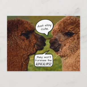 Carte Postale Amusant Alpaca Alpacalypse schéma