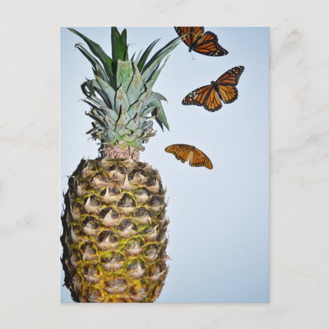 Carte Postale Amusant ananas (Devant)