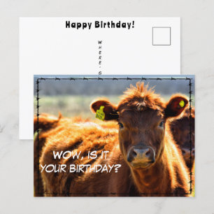 Carte Postale Amusant Joyeux Anniversaire Pays Contes Courrier D