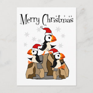 Carte Postale Amusant Joyeux Noël Puffin Oiseaux et neige