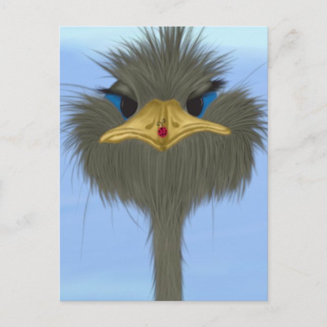 Carte Postale Amusant Ostrich George Et Mignonne Ladybug (Devant)