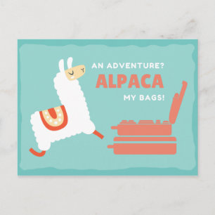 Carte Postale Amusant Voyage d'Alpaca blanc