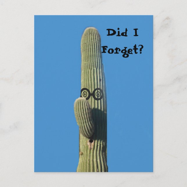 Carte Postale Amusante fête d'anniversaire tardive (Devant)