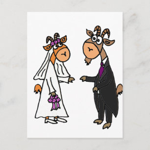 Carte Postale Amusante mariée et Mariage de chèvre de chambre