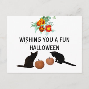 Carte Postale Amusants Halloween Citrouilles orange Marigolds Ch
