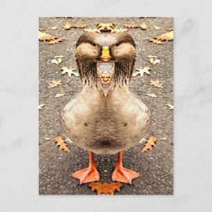 CARTE POSTALE AMUSEMENT ANIMAL