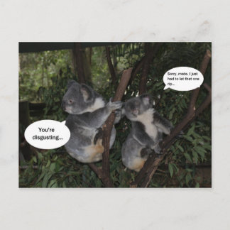 Carte Postale Amusement de koala