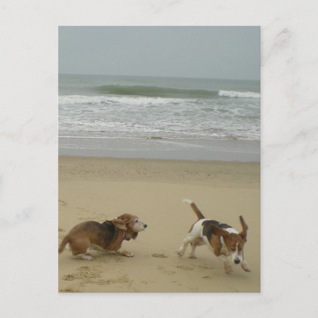 Carte Postale Amusement sur la plage (Devant)
