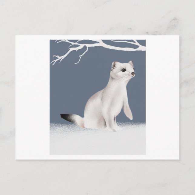 Carte Postale An illustration of a weasel painted in watercolor (Devant)