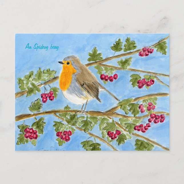 Carte Postale An Spideog beag postcard (Devant)