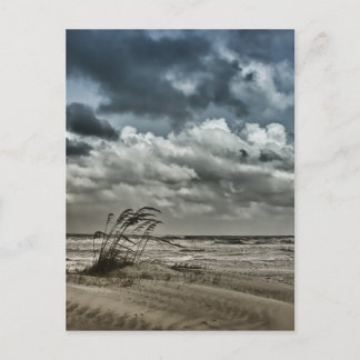 Carte Postale Anastasia 3