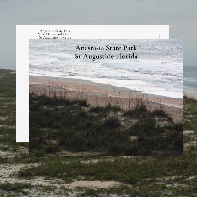 Carte Postale Anastasia State Park St Augustine Florida Travel (Créateur téléchargé)