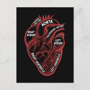 Carte Postale Anatomie cardiaque Cardiologie de l'éducation