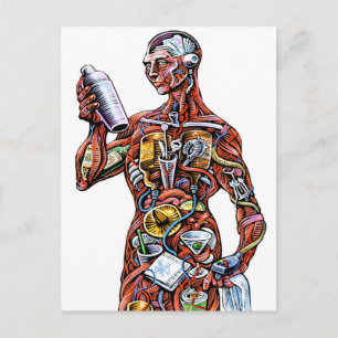 Carte postale Anatomie du barman (homme)