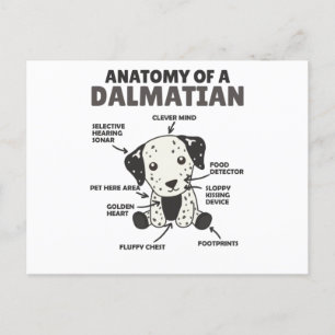 Carte Postale Anatomie D'Un Chien Doux Dalmatien Chien Drôle Chi