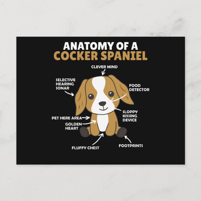 Carte Postale Anatomie D'Un Cocker Spaniel Cute Chiens Chiot (Devant)