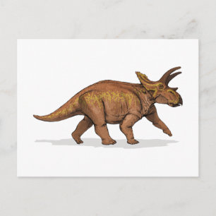Carte Postale Anchicératops Dinosaur