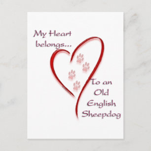 Carte Postale Ancien berger anglais Coeur Appartient