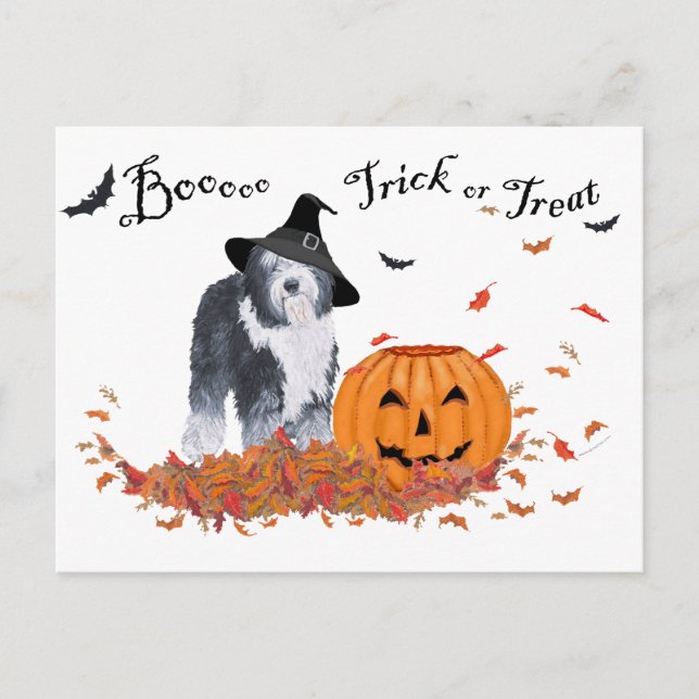 Carte Postale Ancien chien de berger anglais Halloween (Devant)
