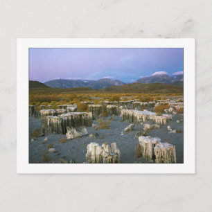 Carte Postale "Ancien filigrane"