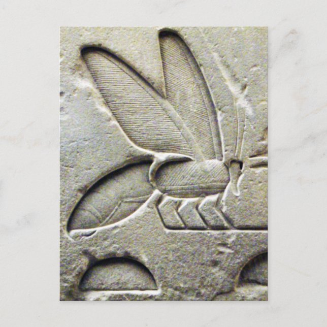 CARTE POSTALE ANCIEN NOIR BLANC ÉGYPTIEN HONEY BEE BEEKEEPER (Devant)