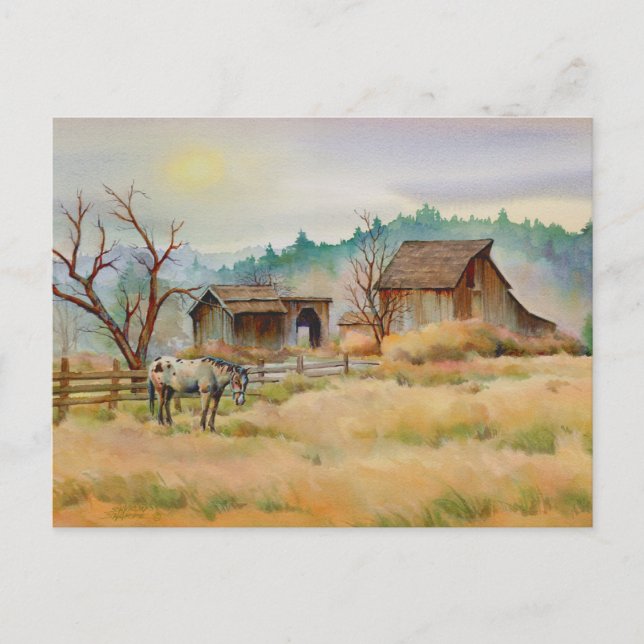 Carte Postale ANCIENNE BARN & APPALOOSA par SHARON SHARPE (Devant)