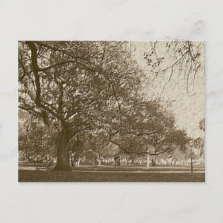 Carte Postale Ancienne batterie