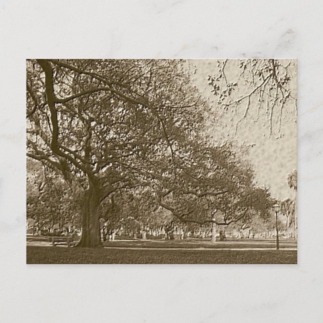 Carte Postale Ancienne batterie (Devant)