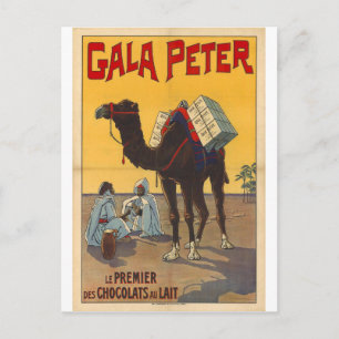 carte postale ancienne de dromadaire
