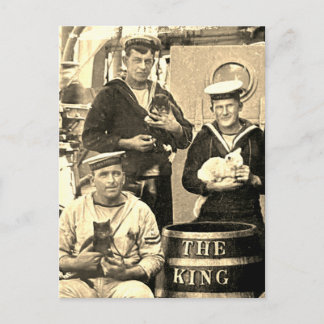 Carte Postale Ancienne Photo Vintage 3 Marins Tenant des Chats