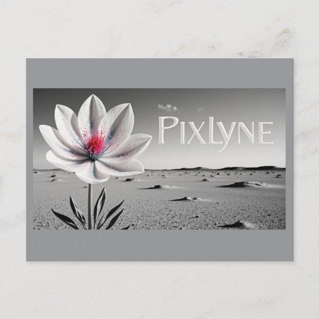 Carte Postale Andrew Goodchild Post Card (Devant)