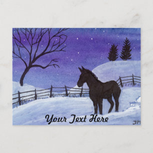 Carte Postale Âne