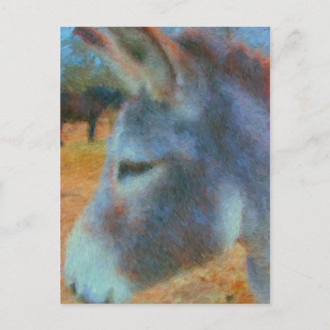 Carte Postale âne (Devant)