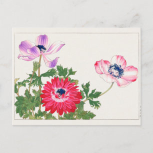 Carte Postale Anemone coronaria par Tanigami Konan