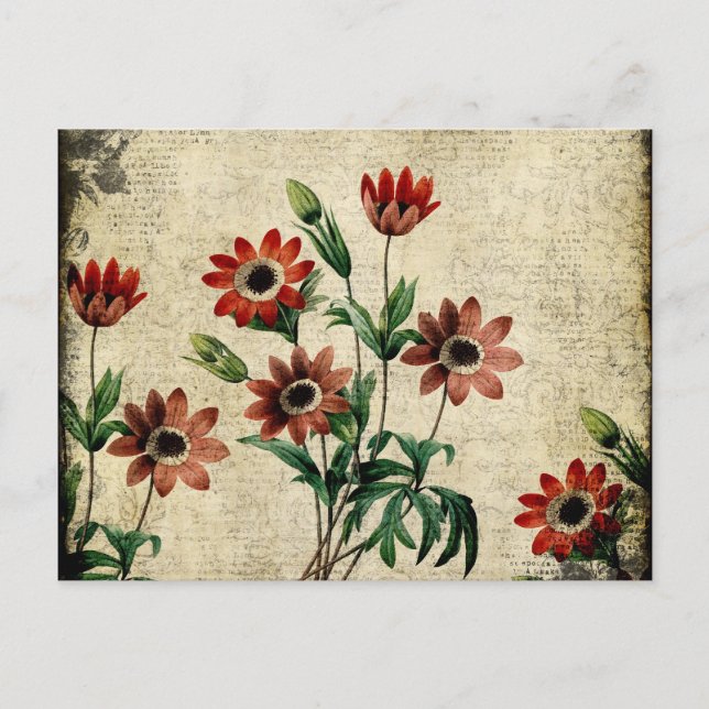 Carte Postale Anémones intemporels (Devant)