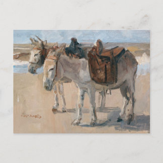 Carte postale Ânes à la plage