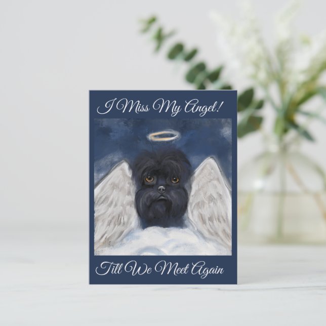 Carte Postale Ange Affenpinscher   (Debout devant)