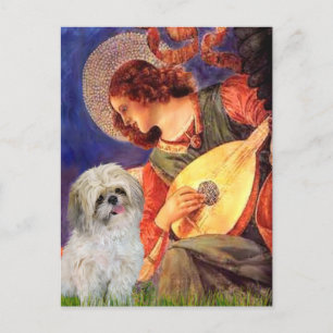 Carte Postale Ange au mandolin - Shih Tzu (P)