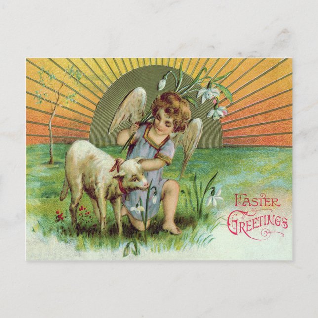 Carte Postale Ange Chérubin Soleil Agneau Mouton (Devant)