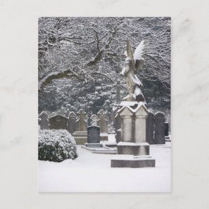 Carte Postale Ange de neige