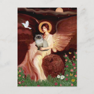 Carte Postale Angel assis - chat himalayen 7