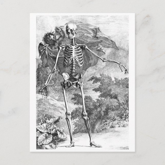 Carte Postale Angel couvrant un squelette debout (Devant)