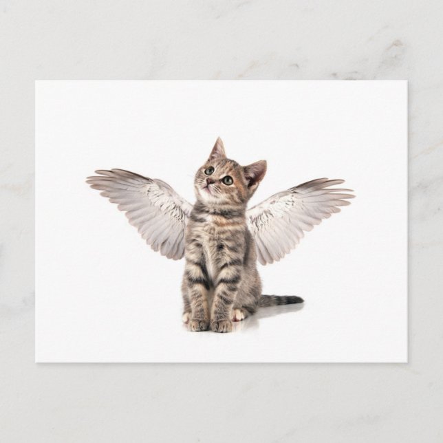 Carte Postale angel kitty (Devant)